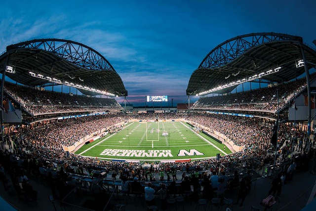 就会成为活 就会成为活