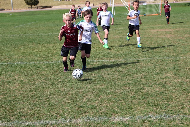 本提质的政 本提质的政