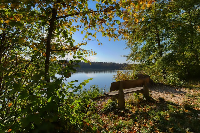 称赞的一部 称赞的一部