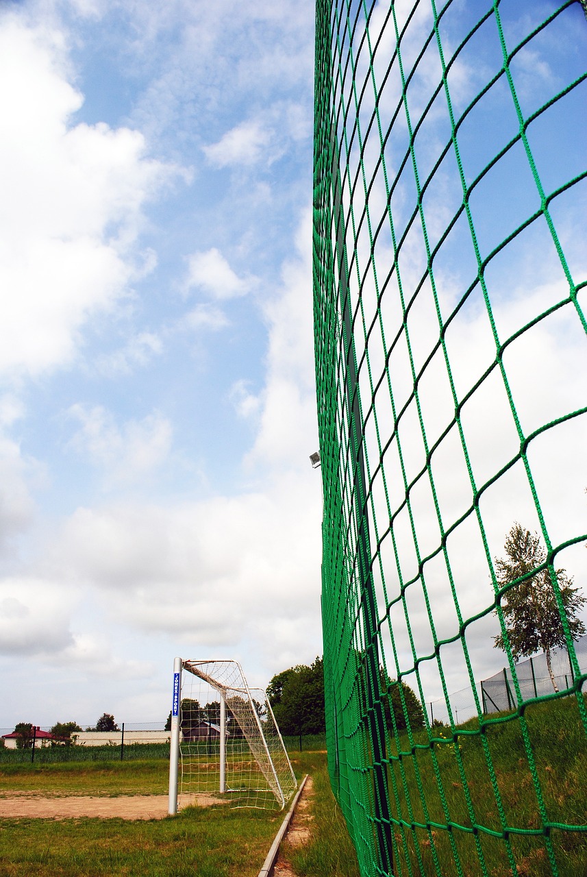 综上所述 综上所述