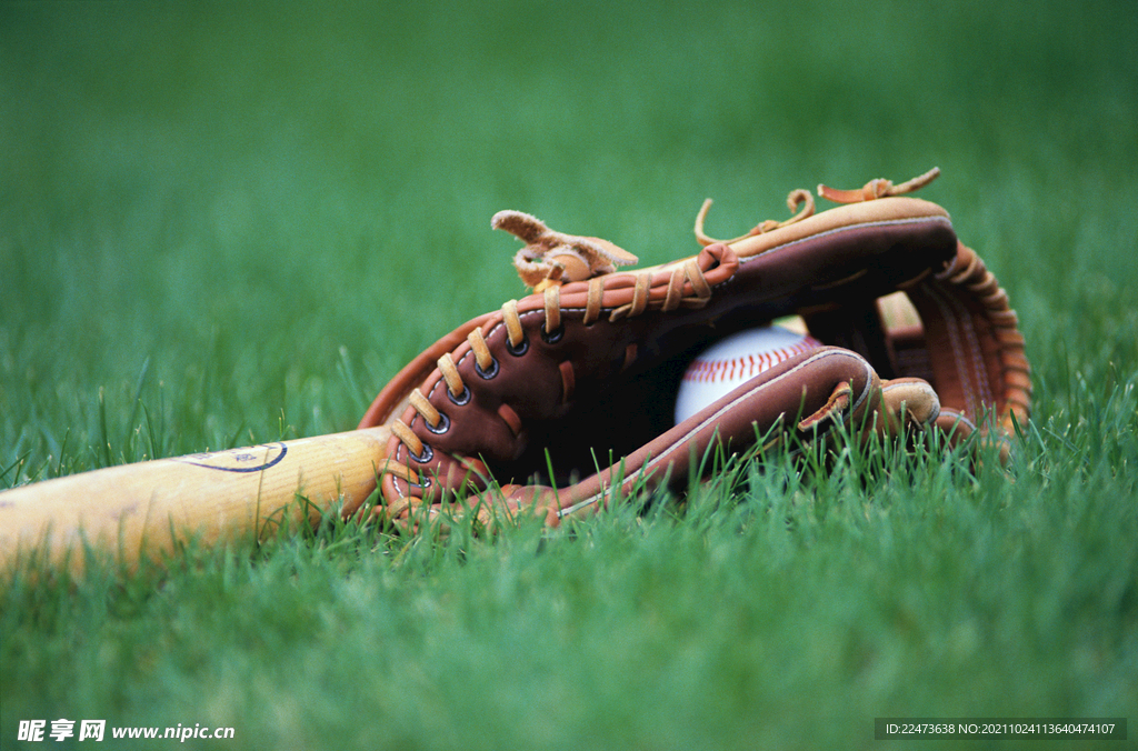 他们投下了 他们投下了