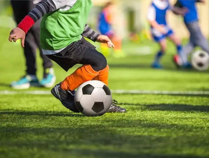 业内标杆 业内标杆