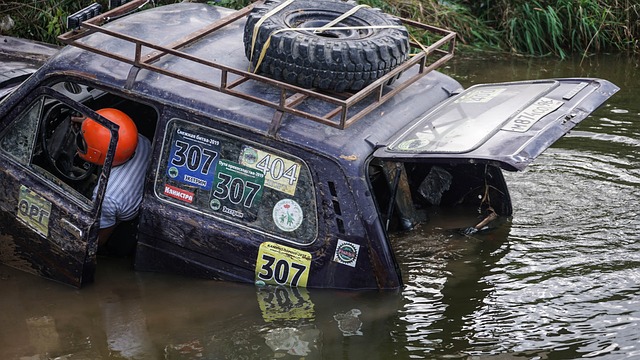 绿荫场上那 绿荫场上那