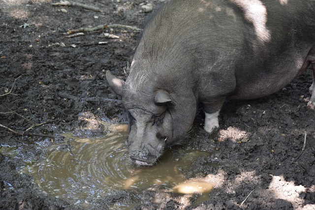 点燃了无数 点燃了无数