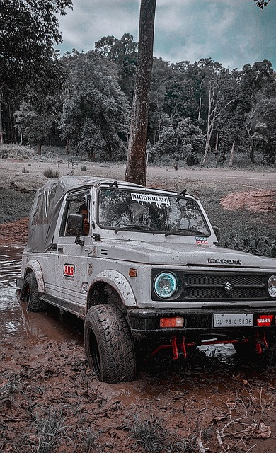 直播吧：广东男篮留下伯克是为给徐杰、胡明轩提供轮换人选.